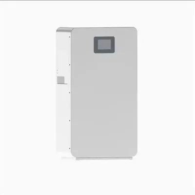 Maintenance and Operation Service for 10kW Lithium Battery Cabinet